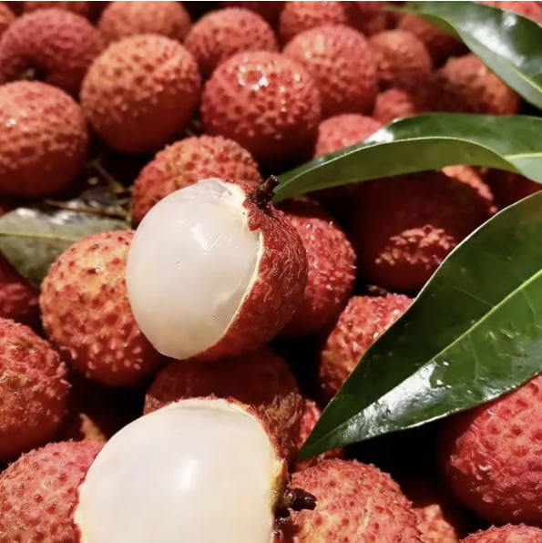 Саджанці Лічі без кісточки