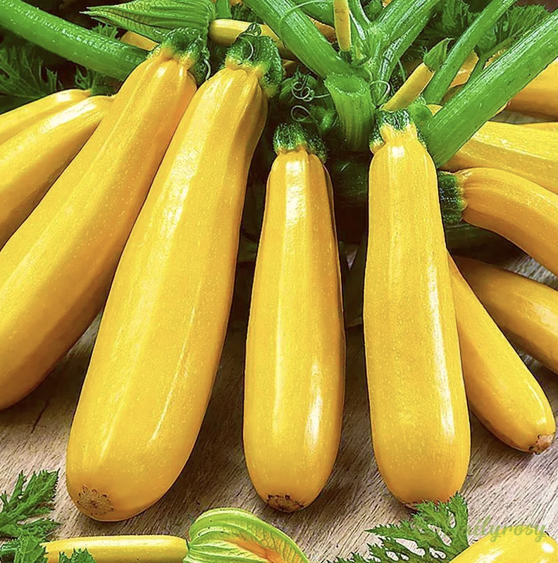 🌱 Бананові кабачки - Золотисті кабачки 